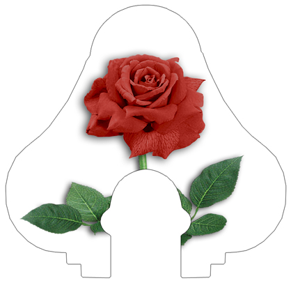 DNSLOG L 083 RD New Red Rose